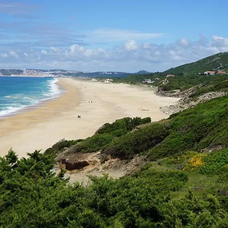 Casa Berlenga - By Sch Villa Famalicão