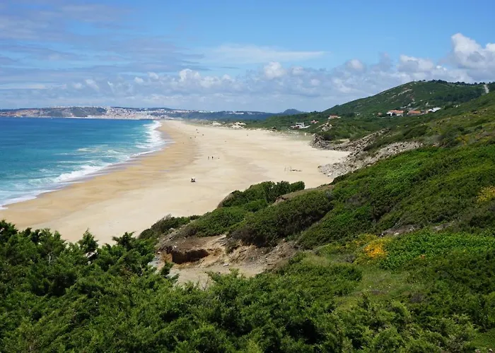 Casa Berlenga - By Sch Villa Famalicão